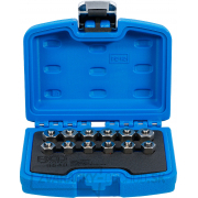 Súprava zátok vstrekovača | 12dielna, BGS 9540 Súprava zátok vstrekovača | 12dielna, BGS 9540 gallery main image