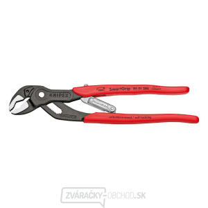 Kliešte SmartGrip 250 mm s automatickým nastavením. Knipex 85 01 250 - DIN ISO 8976 - leštená hlava, plastové rukoväte Kliešte SmartGrip 250 mm s automatickým nastavením. Knipex 85 01 250 - DIN ISO 8976 - leštená hlava, plastové rukoväte gallery main image