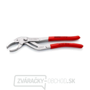 Kliešte na sifóny a konektory 250 mm Knipex 81 03 250 Náhľad