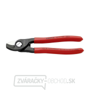 Nožnice na káble 165 mm KNIPEX 95 11 165 - leštená hlava, plastové puzdrá Náhľad