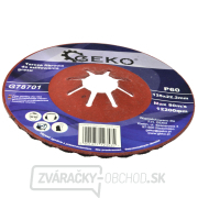 Brúsny kotúč z kameninových vlákien 125 mm P60 (10/200) Náhľad