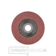 Lamelový kotúč 125 mm P100 (10/200) Náhľad