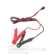 Autonabíjačka 9stupňová, riadená mikroprocesorom, 12V/6V, 8A náhled
