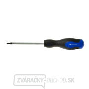 Skrutkovač Torx t10x100 mm GEKO (10/100) gallery main image