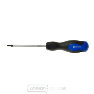 Skrutkovač Torx t10x100 mm GEKO (10/100) Skrutkovač Torx t10x100 mm GEKO (10/100) gallery main image