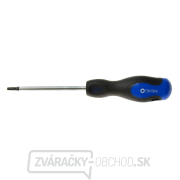 Skrutkovač Torx t20x100 mm GEKO (10/100) gallery main image