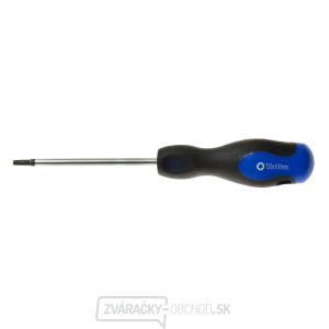 Skrutkovač Torx t20x100 mm GEKO (10/100) gallery main image