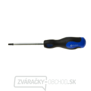 Skrutkovač Torx t27x100 mm GEKO (10/100) gallery main image