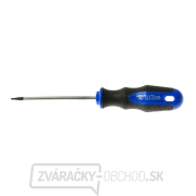 Skrutkovač Torx t6x75 mm GEKO (10/100) gallery main image
