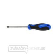 Krížový skrutkovač ph 2x100 mm GEKO (10/100) gallery main image