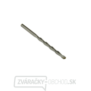 Profi fréza na kamene 6/100 mm (5/1000) Profi fréza na kamene 6/100 mm (5/1000) gallery main image