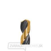 Čiernozlatý vrták HSS do kovu 1,00 mm (10/300/3000) Náhľad