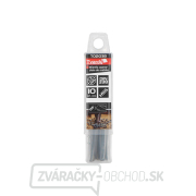 Čierno-zlatý vrták HSS do kovu 3,80 mm (10/250/1500) Náhľad