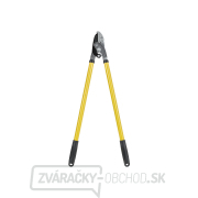 700mm kovadlinkové záhradnícke nožnice (6) Náhľad