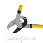 700mm kovadlinkové záhradnícke nožnice (6) Náhľad