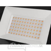 LED reflektor 50W - teplá biela 2700K (50) LED reflektor 50W - teplá biela 2700K (50) náhled