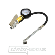 Čerpacia pištoľ s manometrom TG-10/s.tir/(20) gallery main image