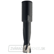 CMT C380 Frézovací vrták pre Domino Festool - D5x20 L49 S=M6x0,75 CMT C380 Frézovací vrták pre Domino Festool - D5x20 L49 S=M6x0,75 gallery main image