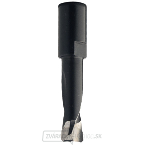 CMT C380 Frézovací vrták pre Domino Festool - D5x20 L49 S=M6x0,75 gallery main image