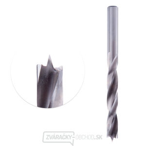 Vrták do dreva HSS IGM - D3x30 L70 S3 Vrták do dreva HSS IGM - D3x30 L70 S3 gallery main image