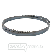 IGM Carbon FORCE HOOK Pílový pás 2946mm - 19 x 0,8mm 2Tpi IGM Carbon FORCE HOOK Pílový pás 2946mm - 19 x 0,8mm 2Tpi gallery main image