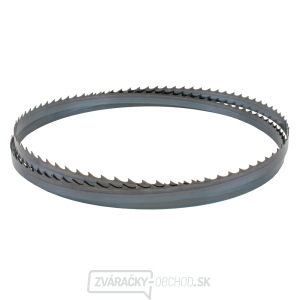 IGM Carbon FORCE HOOK Pílový pás 2946mm - 19 x 0,8mm 2Tpi IGM Carbon FORCE HOOK Pílový pás 2946mm - 19 x 0,8mm 2Tpi gallery main image