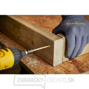 10-dielna sada 50 mm torzných bitov PH s držiakom bitov Stanley STA88564 náhled