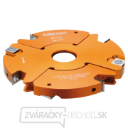 CMT Nastaviteľná drážkovacia fréza 2 diely MAN - D170x20-39 d30 Z2+2 V2+2 ALU CMT Nastaviteľná drážkovacia fréza 2 diely MAN - D170x20-39 d30 Z2+2 V2+2 ALU gallery main image