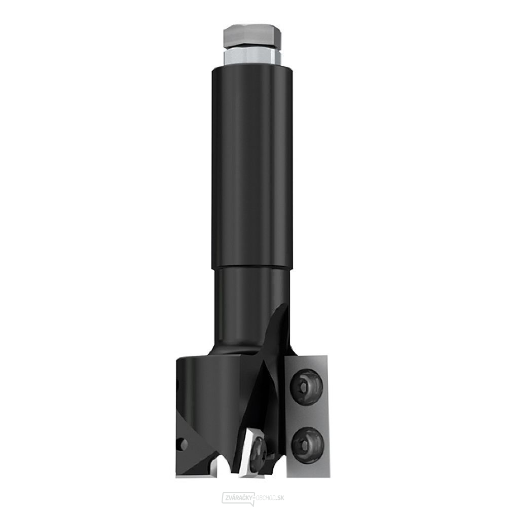 IGM F453 Drážkovacia fréza HW - D40x29,5 L100 S=20 Z2+2