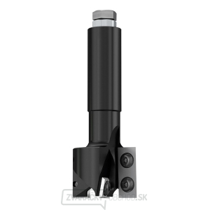 IGM F453 Drážkovacia fréza HW - D40x29,5 L100 S=20 Z2+2 IGM F453 Drážkovacia fréza HW - D40x29,5 L100 S=20 Z2+2 gallery main image