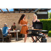 Riwall PRO RGG 20 Kompaktný prenosný plynový gril 4,2 kW s dvoma horákmi Náhľad