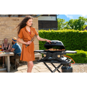 Riwall PRO RGG 20 Kompaktný prenosný plynový gril 4,2 kW s dvoma horákmi náhled