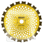 Nôž krovinorezu (kotúč) (D255*25.4) 40Т (obojstranný) (gold) PROCRAFT | gallery main image