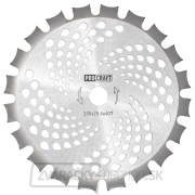 Nôž krovinorezu (D255*25.4) 40Т (obojstranný) PROCRAFT | H/P-2 Nôž krovinorezu (D255*25.4) 40Т (obojstranný) PROCRAFT | H/P-2 gallery main image