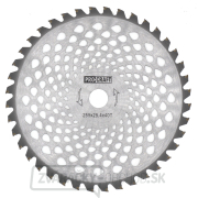 Nôž krovinorezu (kotúč) (D255*25.4) 40T karbid volfrámu PROCRAFT | H/P-40T Nôž krovinorezu (kotúč) (D255*25.4) 40T karbid volfrámu PROCRAFT | H/P-40T gallery main image