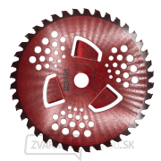 Nôž krovinorezu (kotúč) (D255*25.4) 40T s vnútornými čepeľami pre vysokú trávu (red) PROCRAFT | H/P-3/R gallery main image