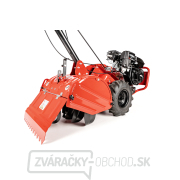 Benzínový kultivátor Hahn & Sohn Cedrus GL03PRO-B&S náhled
