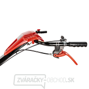 Benzínový kultivátor Hahn & Sohn Cedrus GLX-GT65-2B&S náhled