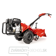Benzínový kultivátor Hahn & Sohn Cedrus GLX-GT65-2B&S gallery main image