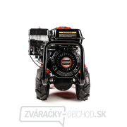 Benzínový kultivátor Hahn & Sohn Cedrus GLX-GT65-2L Náhľad