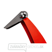 Benzínový drvič konárov Hahn & Sohn Cedrus RB03 náhled