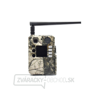 Fotopasca BOLYGUARD BG410-M(S) gallery main image