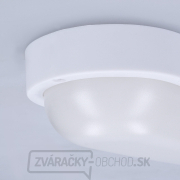 Solight LED vonkajšie osvetlenie oválne, 13W, 910lm, 4000K, IP54, 21cm náhled