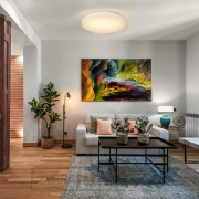 Solight LED stropné svetlo Plain, 15W, 1200lm, 3000K, okrúhle, 26cm Náhľad