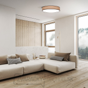 Solight LED osvetlenie s diaľkovým ovládačom Brownie, 60W, 4200lm, 50cm, zmena chromatickosti, stmievateľné Náhľad