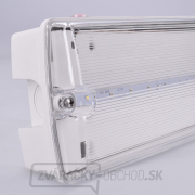 Solight LED núdzové osvetlenie, 4W, 200lm, IP65, LiFePo4 1000mAh batéria, autotest Náhľad