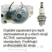 ACTIVE Benzínový hriadeľový krovinorez 6,5BT ACTIVE Benzínový hriadeľový krovinorez 6,5BT náhled